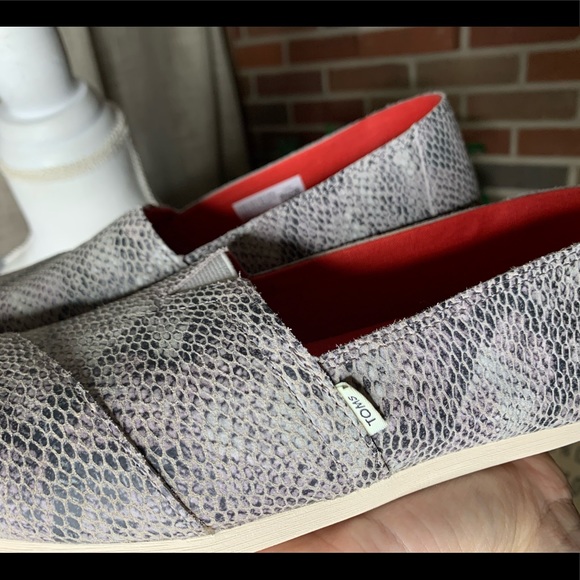 TOMS- snake skin slip ons! Brand new without tags - Picture 5 of 6